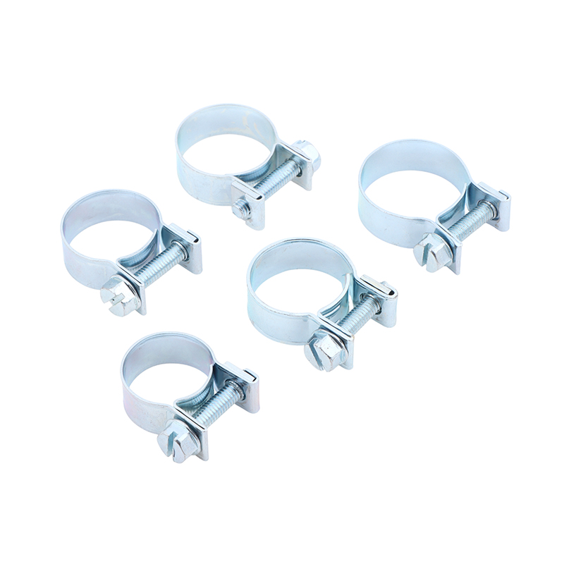 Jubilee Hose Clips 10Pcs Set f - đánh giá và giá Pipe Clamp Bar